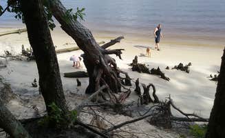 Laura S.'s photo of camping with pets at Carolina Beach State Park Campground near Kure Beach, NC