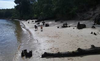 Laura S.'s photo of camping with pets at Carolina Beach State Park Campground near North Topsail Beach, NC