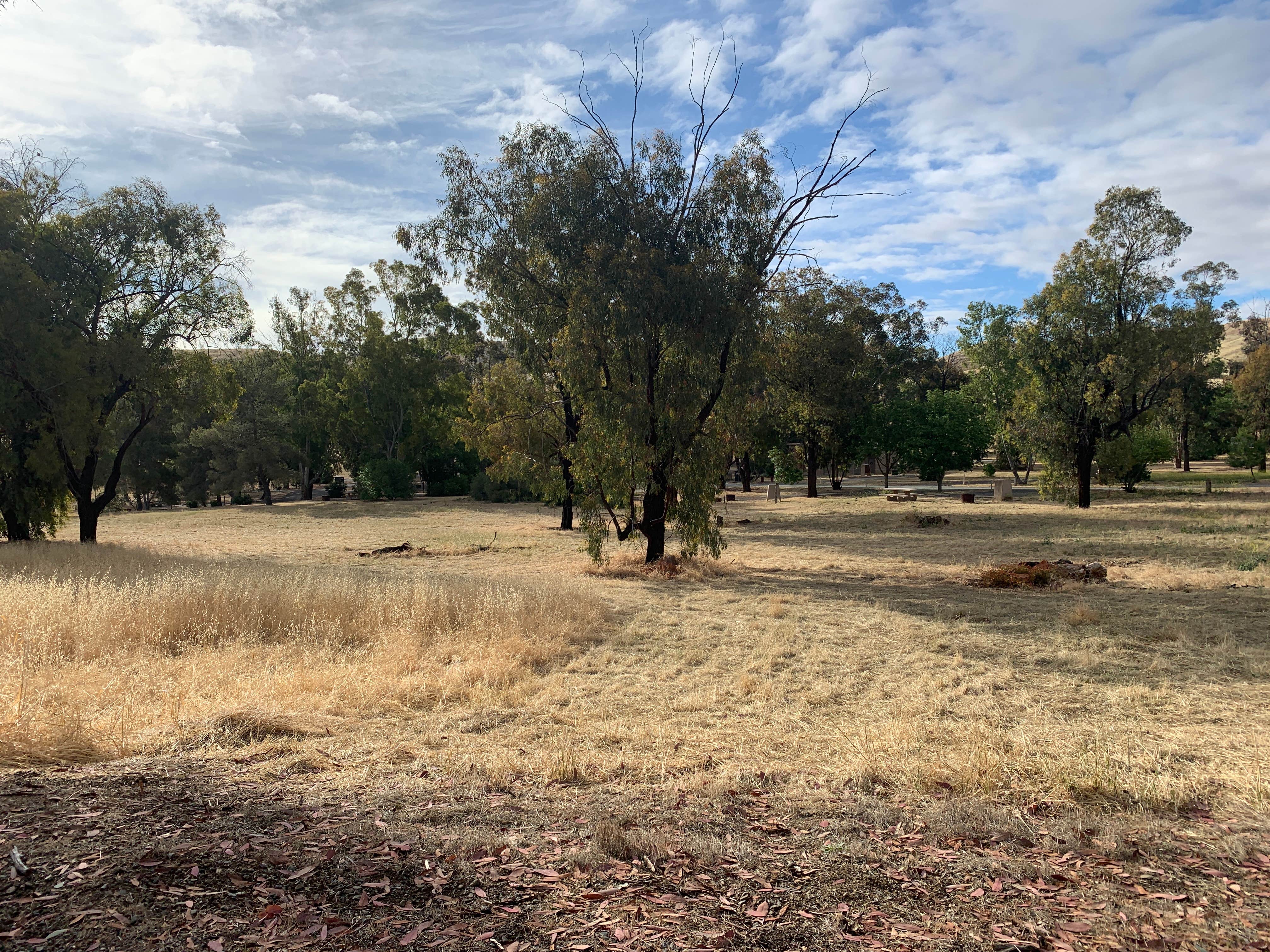 Camper submitted image from Basalt Campground — San Luis Reservoir State Recreation Area - 3