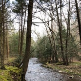 Review photo of Big Run State Park Campground by Zoe H., May 25, 2019