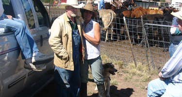 Mogote Meadow Cabins and RV Park