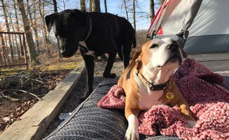 Jacqueline L.'s photo at Lone Pine Campground near Holly Grove, AR