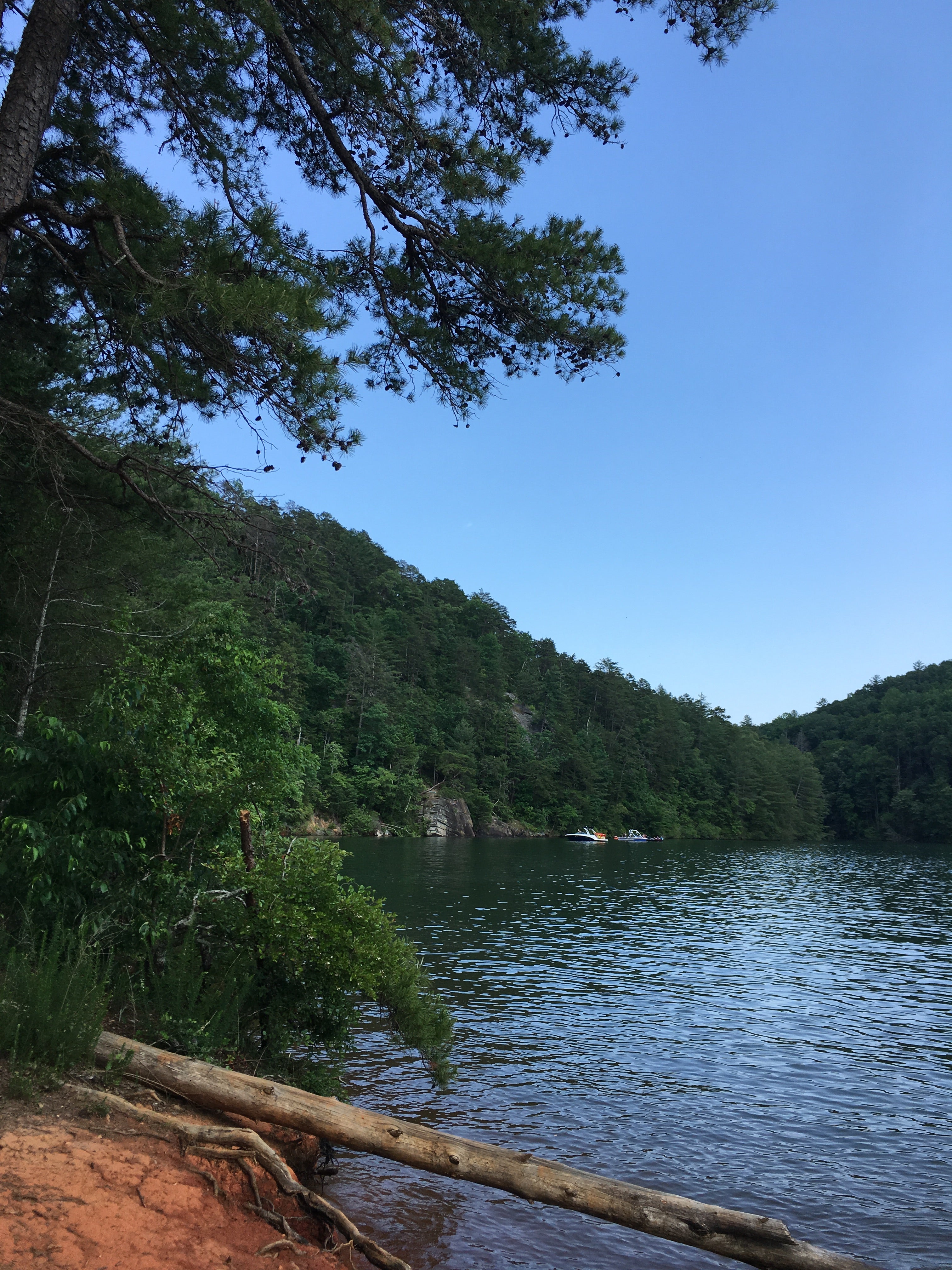 Camper submitted image from Keowee-Toxaway State Park - 3