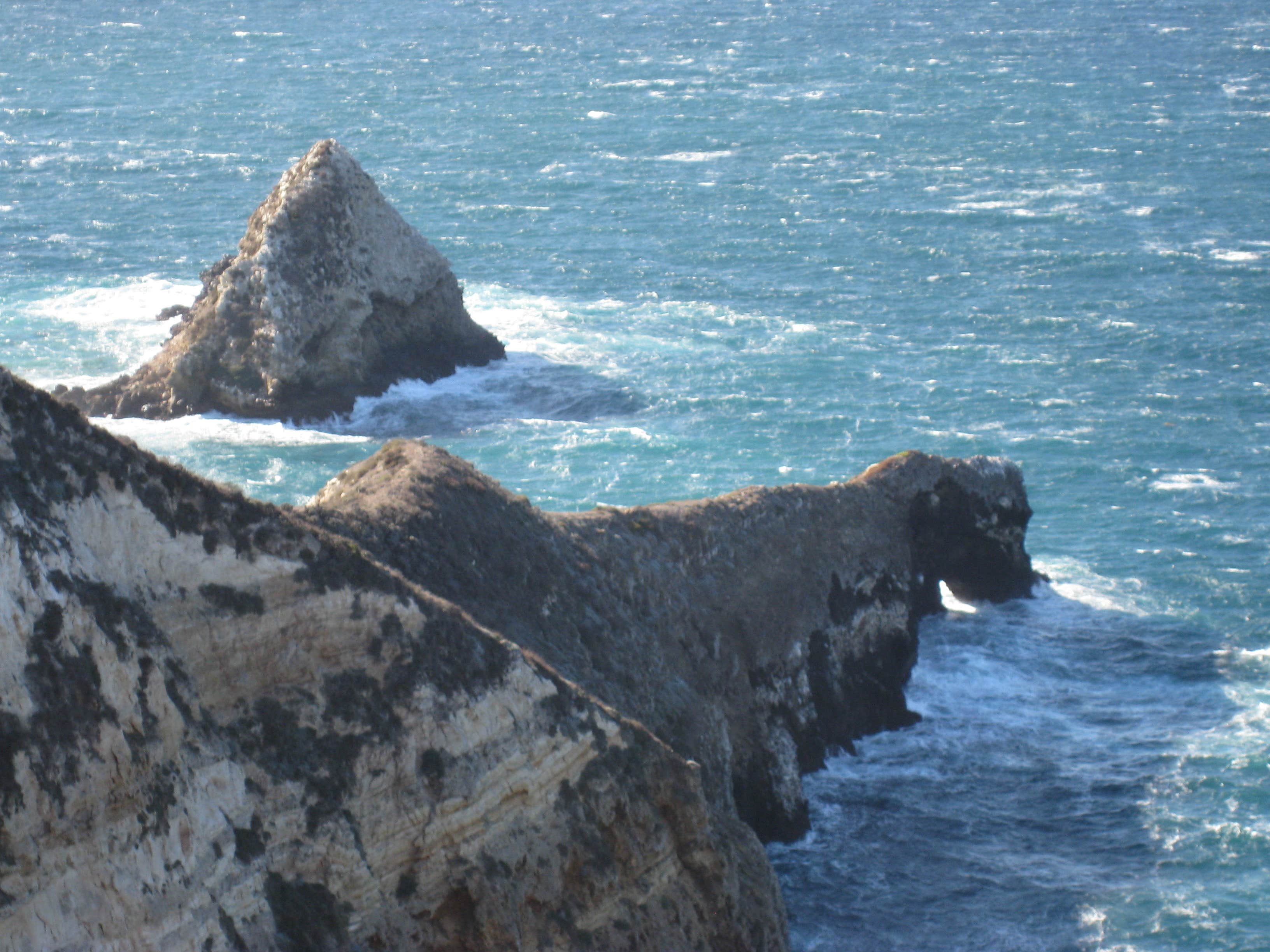Camper submitted image from Anacapa Island Campground — Channel Islands National Park - 3