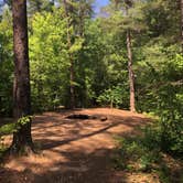 Review photo of Keowee-Toxaway State Park by Erica , May 25, 2019