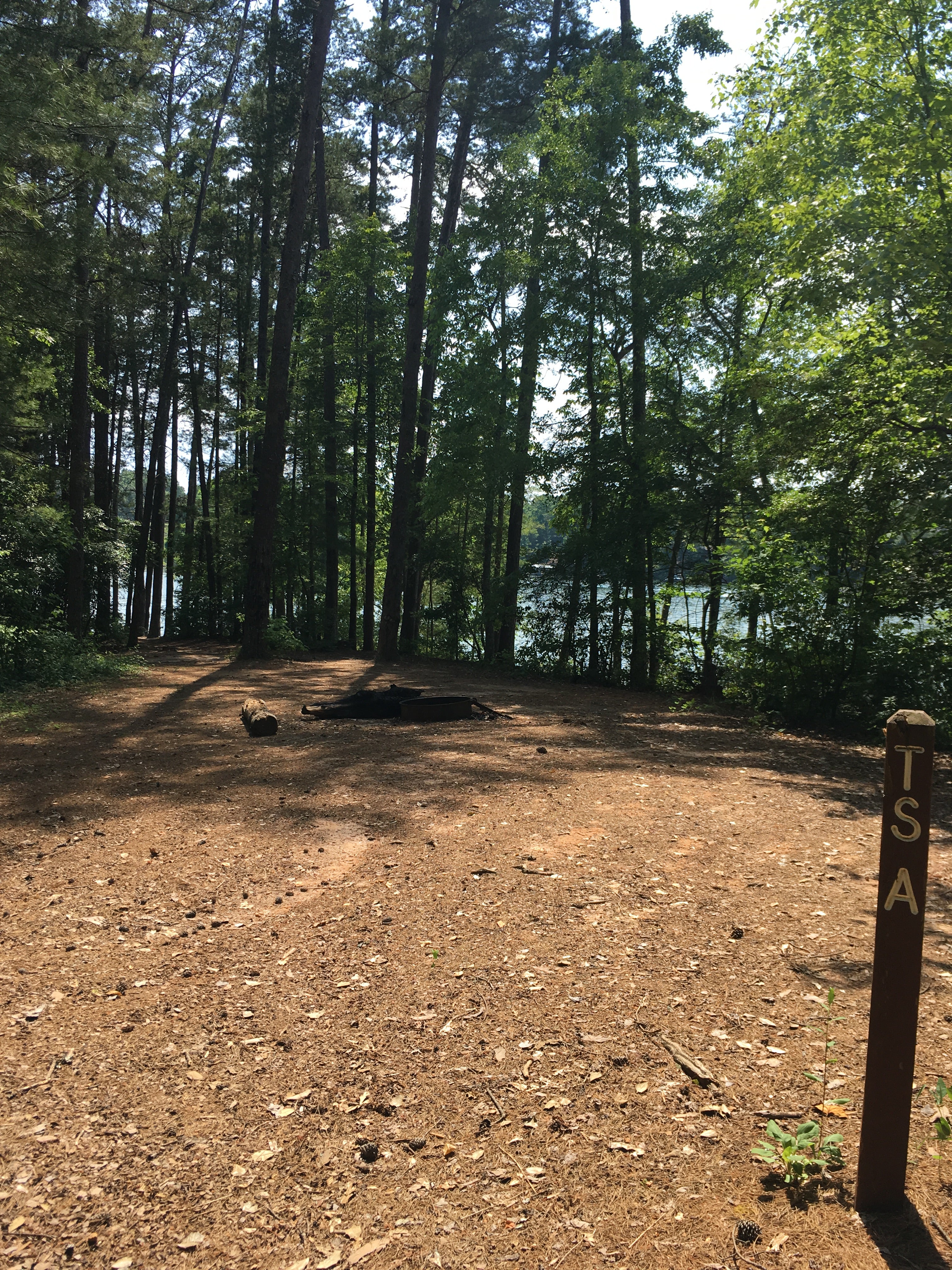 Camper submitted image from Keowee-Toxaway State Park - 4