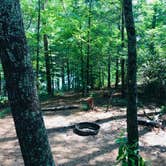 Review photo of Keowee-Toxaway State Park by Erica , May 25, 2019