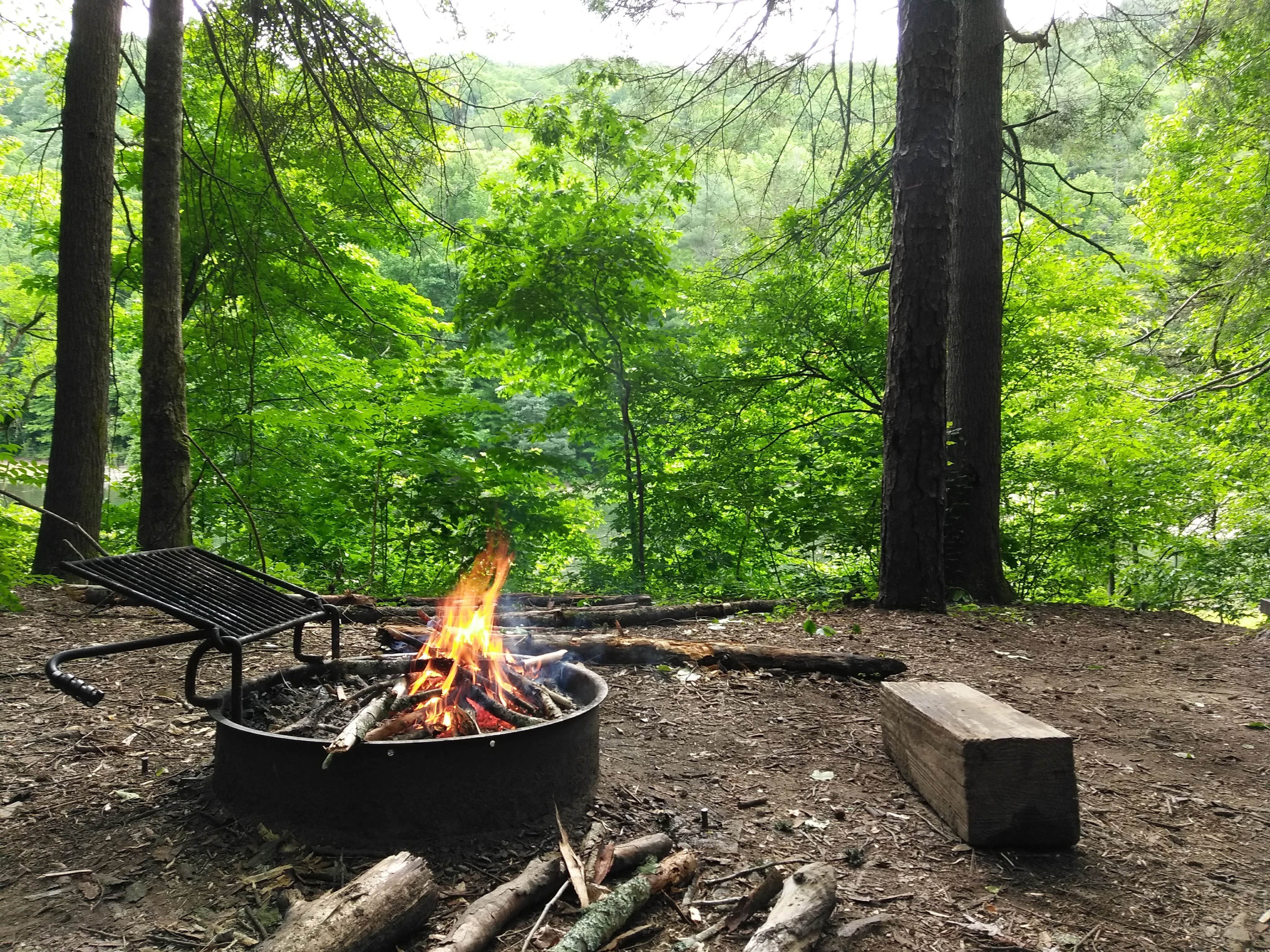 Camper submitted image from Jocassee Gorges Wildlife Management Area - 2