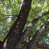 Review photo of Raptor Ranch at Tyndall AFB by Tetia C., August 29, 2016