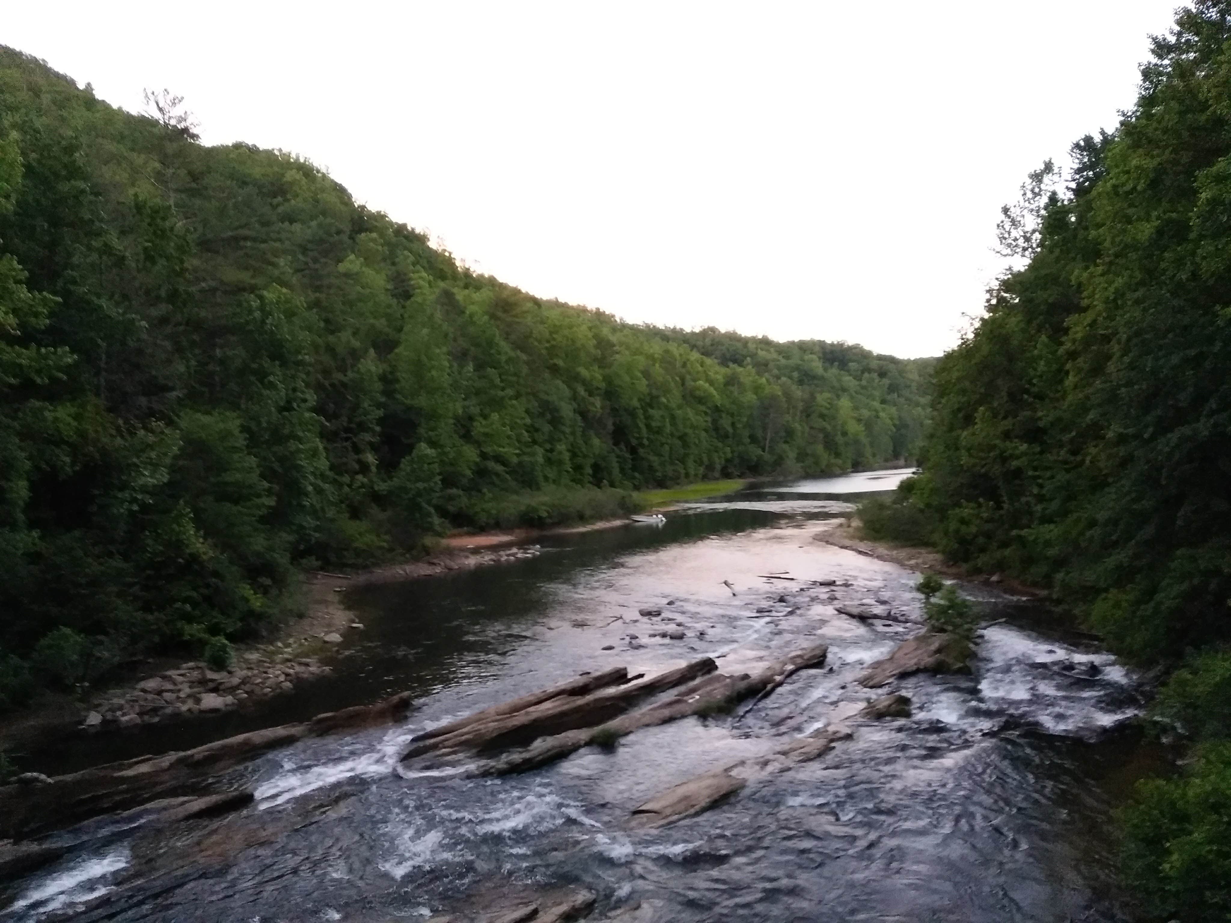 Camper submitted image from Jocassee Gorges Wildlife Management Area - 2