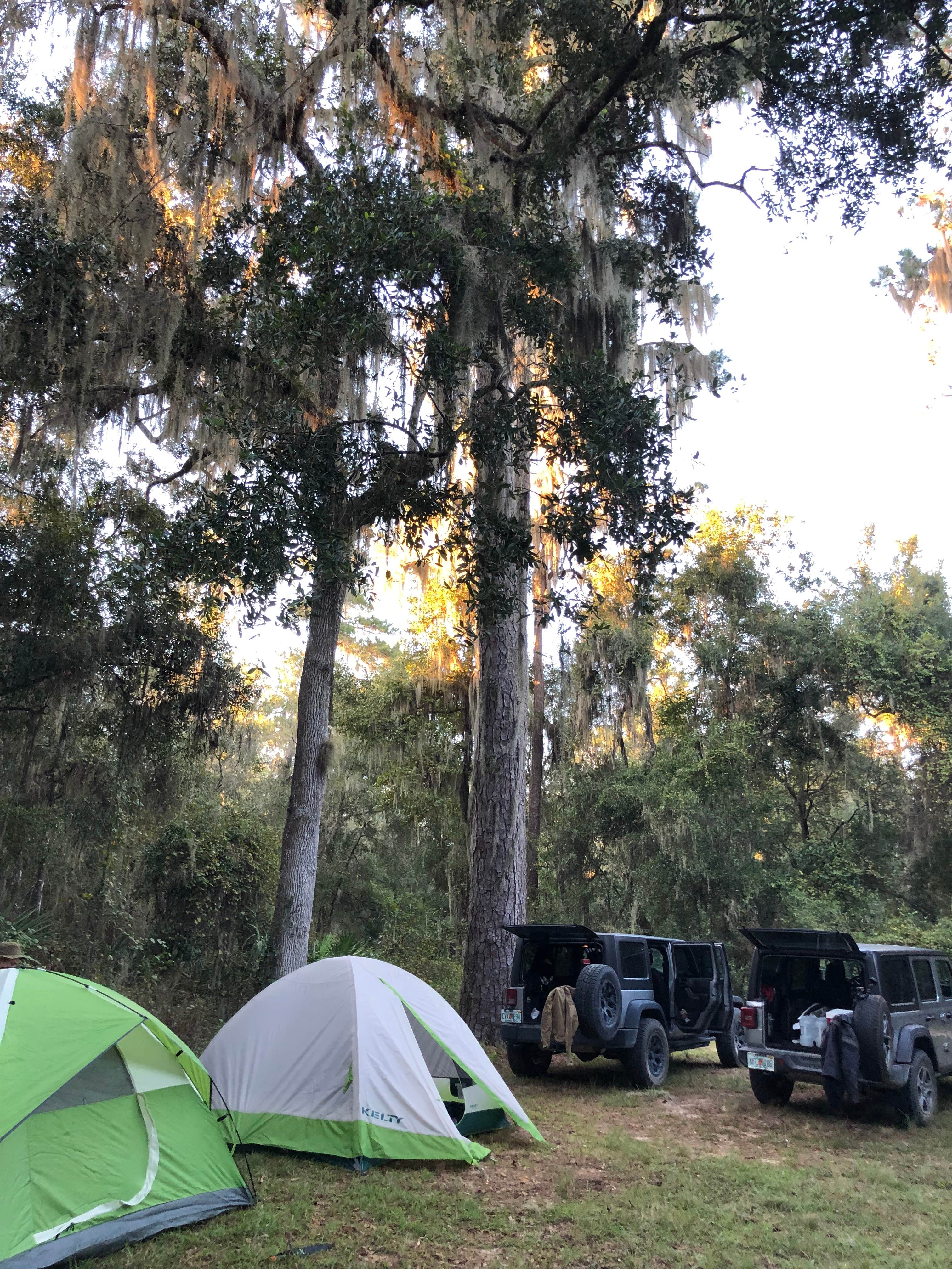 Alex P.'s photo at Lake Eaton Campground near Ocala National Forest