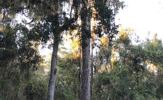 Alex P.'s photo at Lake Eaton Campground near Citra, FL