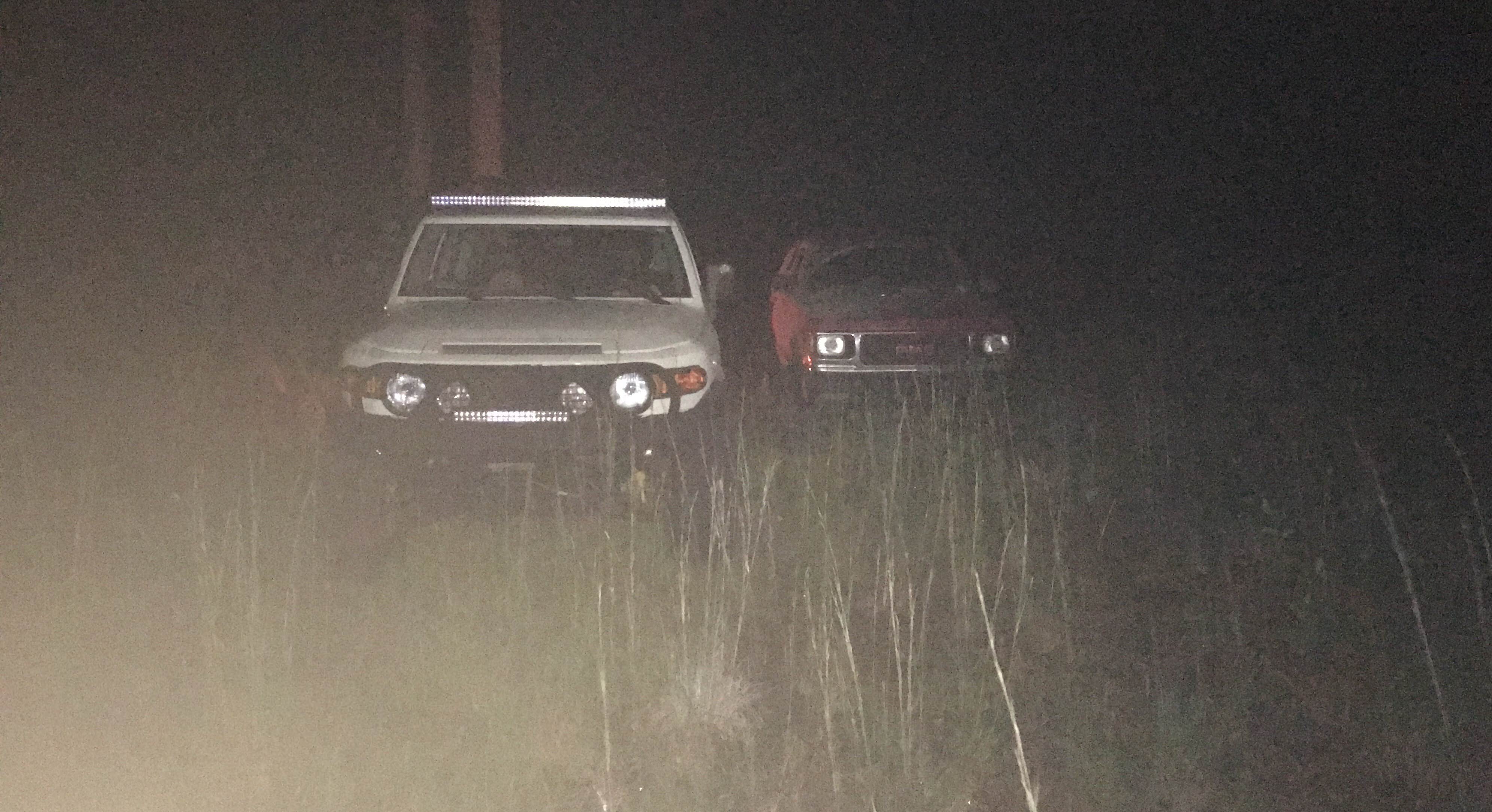 Camper-submitted photo at Francis Marion National Forest near Huger, SC