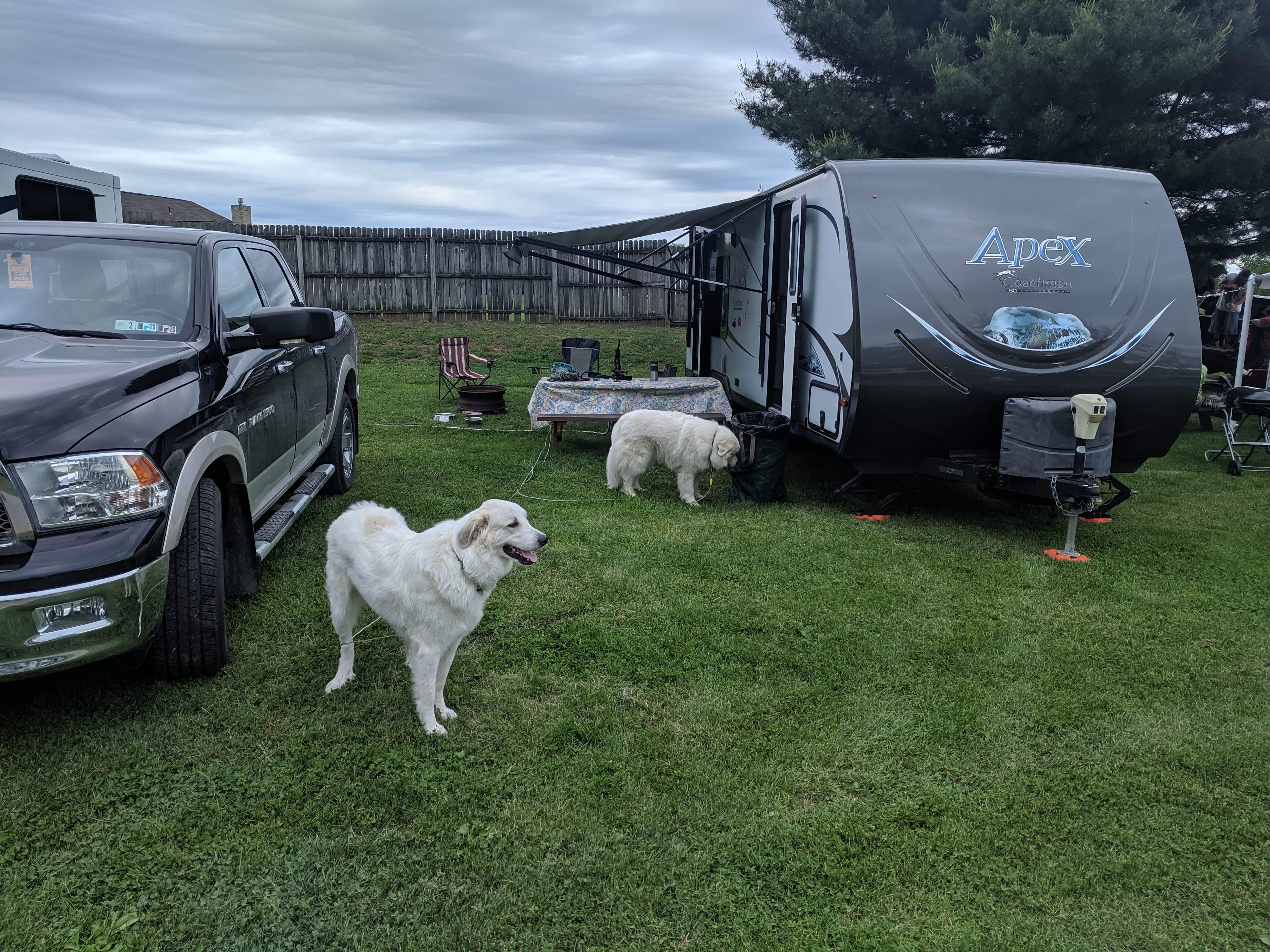 Pennsylvania Buttercup Campground: Your Rustic Retreat Awaits!