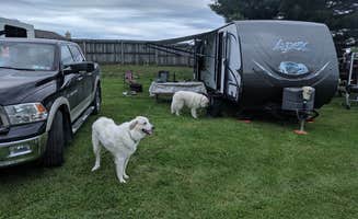 Jim & Amy L.'s photo of camping with pets at Buttercup Woodlands Campground near Gibsonia, PA