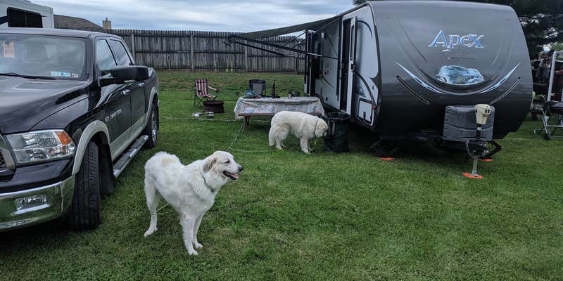 Camper submitted image from Buttercup Woodlands Campground