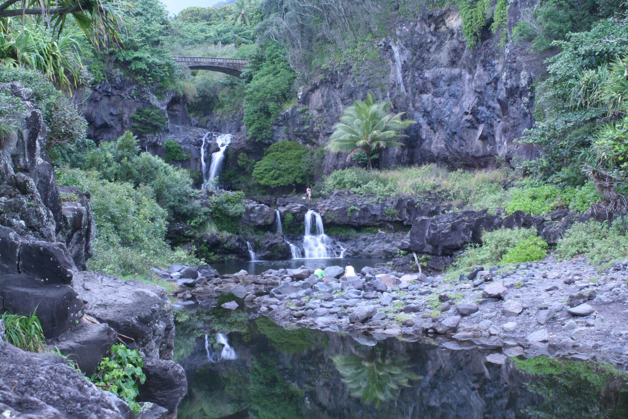 View All