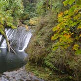Review photo of Silver Falls State Park Campground by Lee D., May 25, 2019