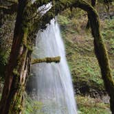 Review photo of Silver Falls State Park Campground by Lee D., May 25, 2019