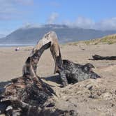 Review photo of Nehalem Bay State Park Campground by Lee D., May 25, 2019