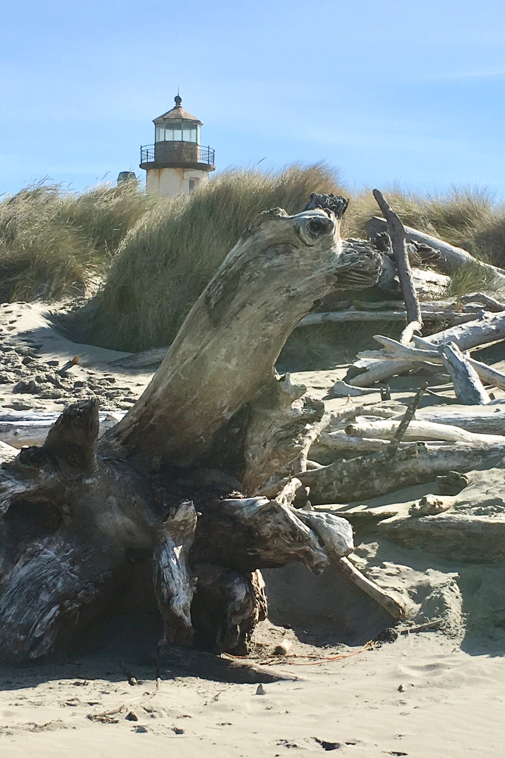 Coquille Lighthouse. Lots of interesting driftwood along the beach