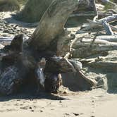 Review photo of Bullards Beach State Park Campground by Lee D., May 25, 2019