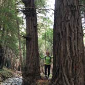 Review photo of Limekiln State Park Campground — TEMPORARILY CLOSED by Lee D., May 25, 2019