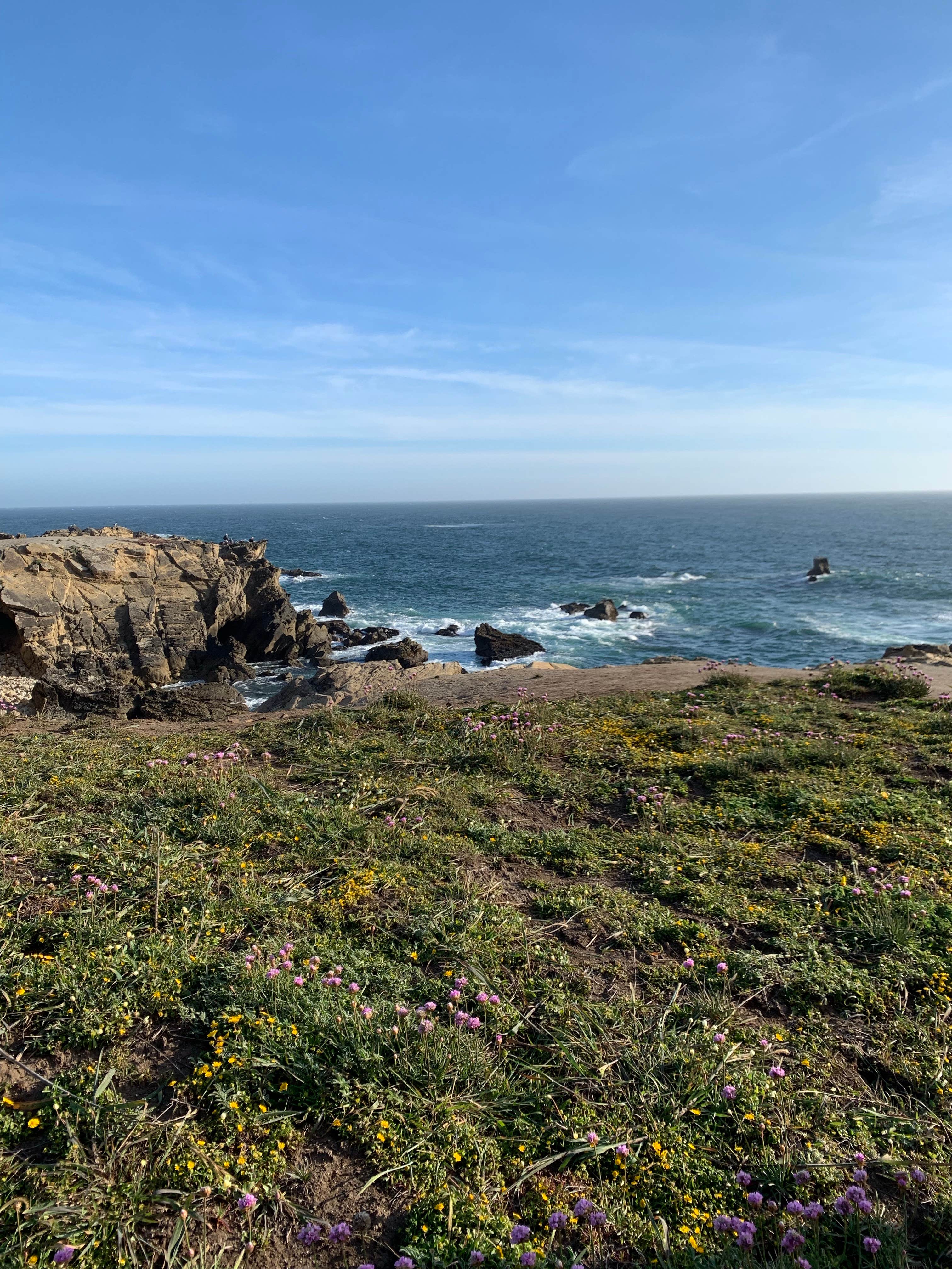 Camper-submitted photo at Ocean Cove Store and Campground near Cazadero, CA