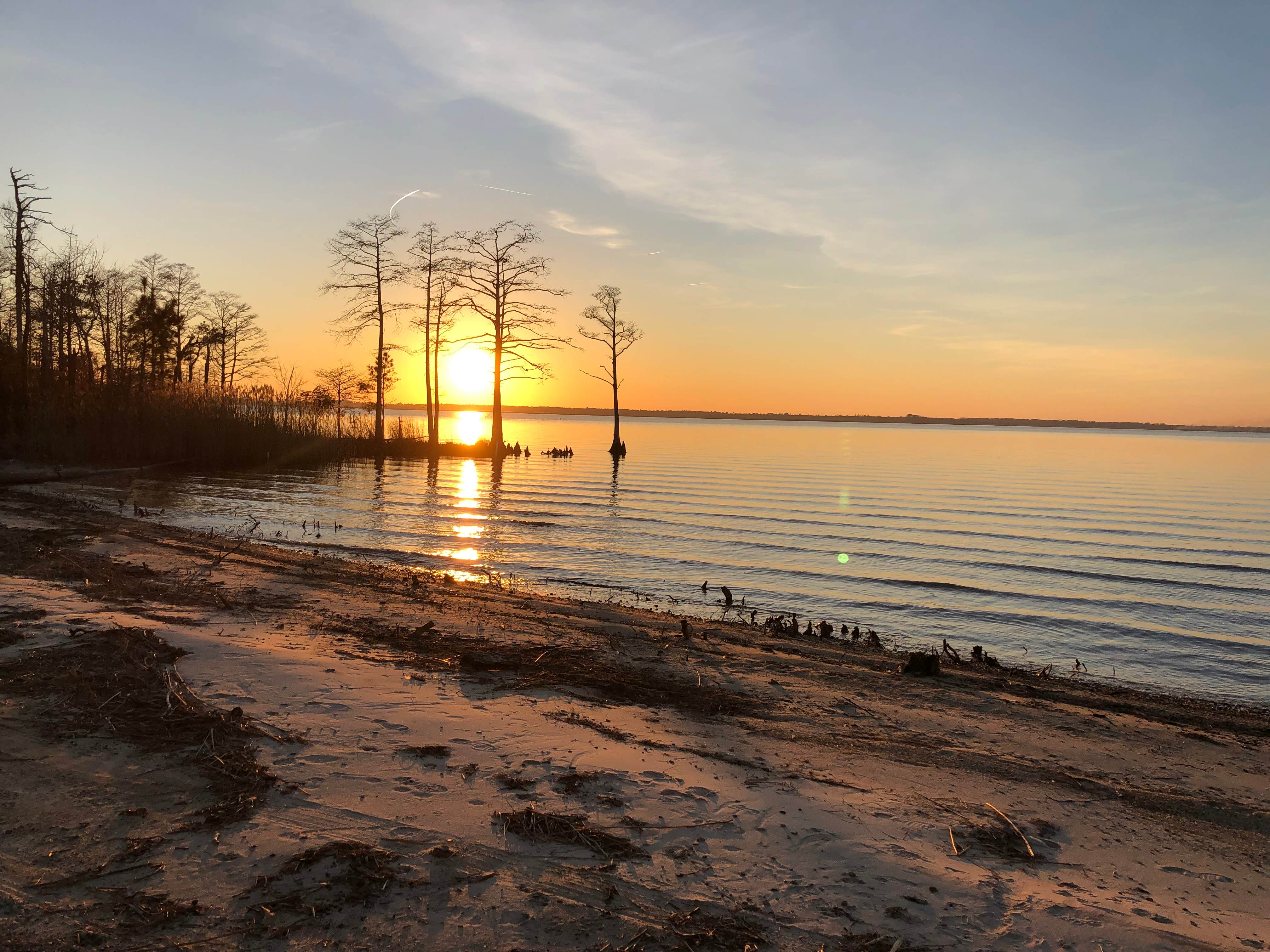 Camper submitted image from North Landing Beach - 3