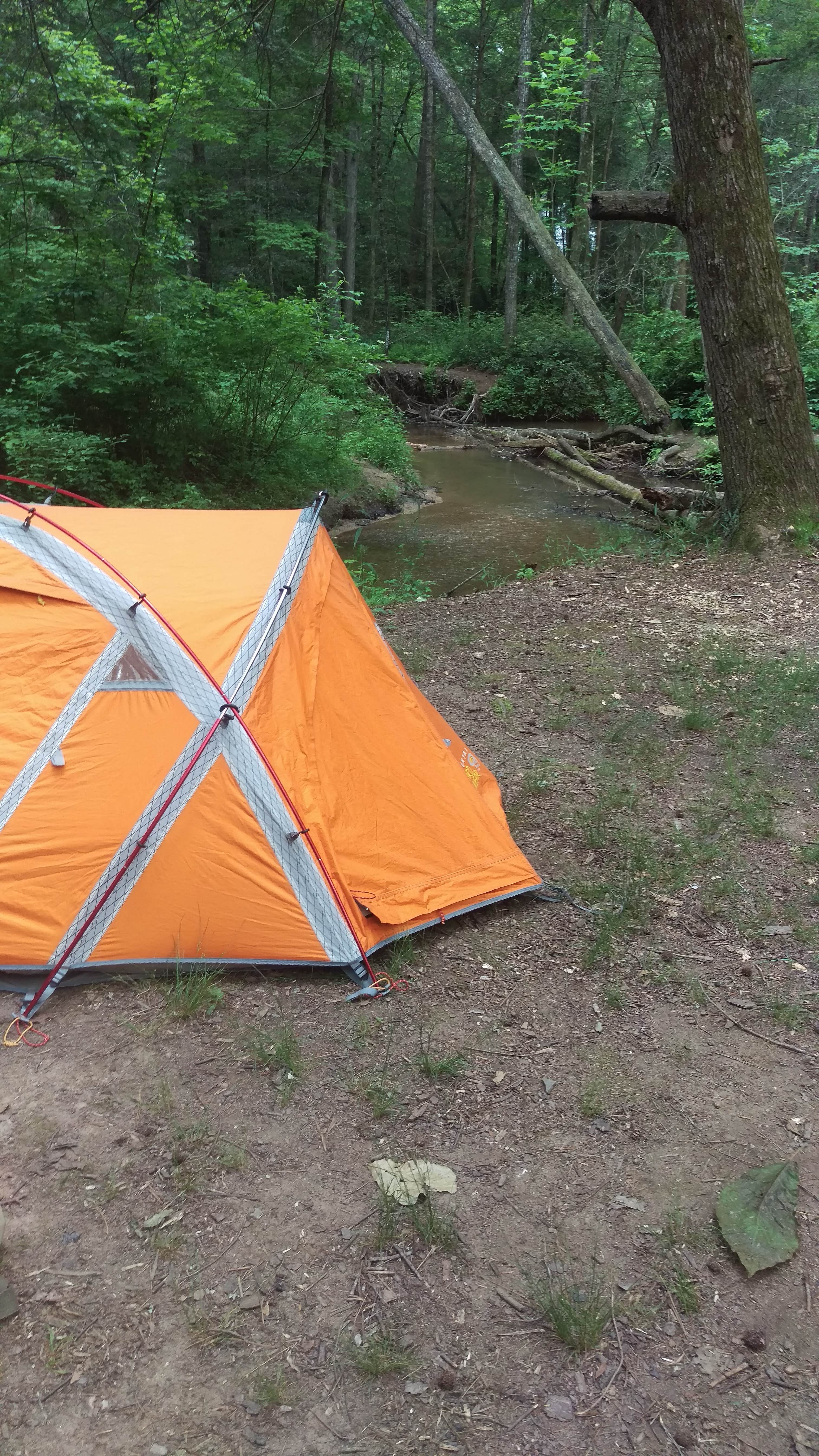 Camper submitted image from Brasstown Falls - OVERNIGHT CAMPING NO LONGER PERMITTED - 5
