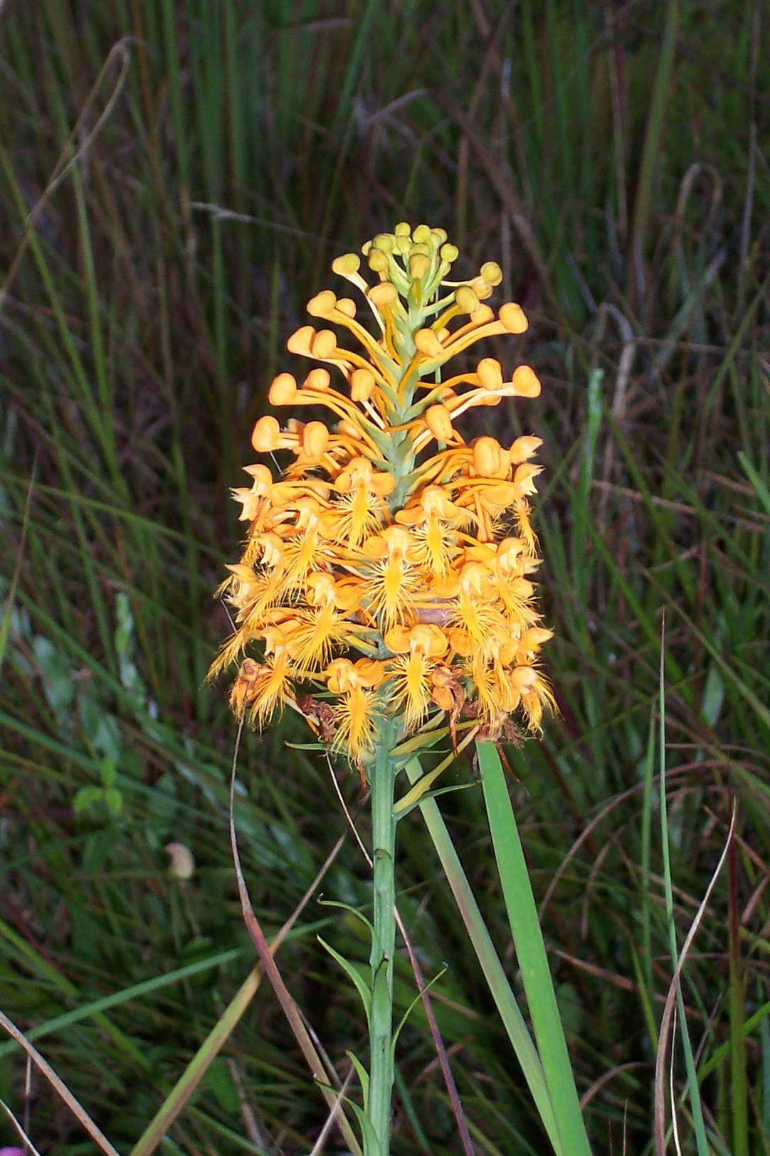 Camper-submitted photo at Sunrise Campground - Long Term Only as of 2021 near Pikeville, TN