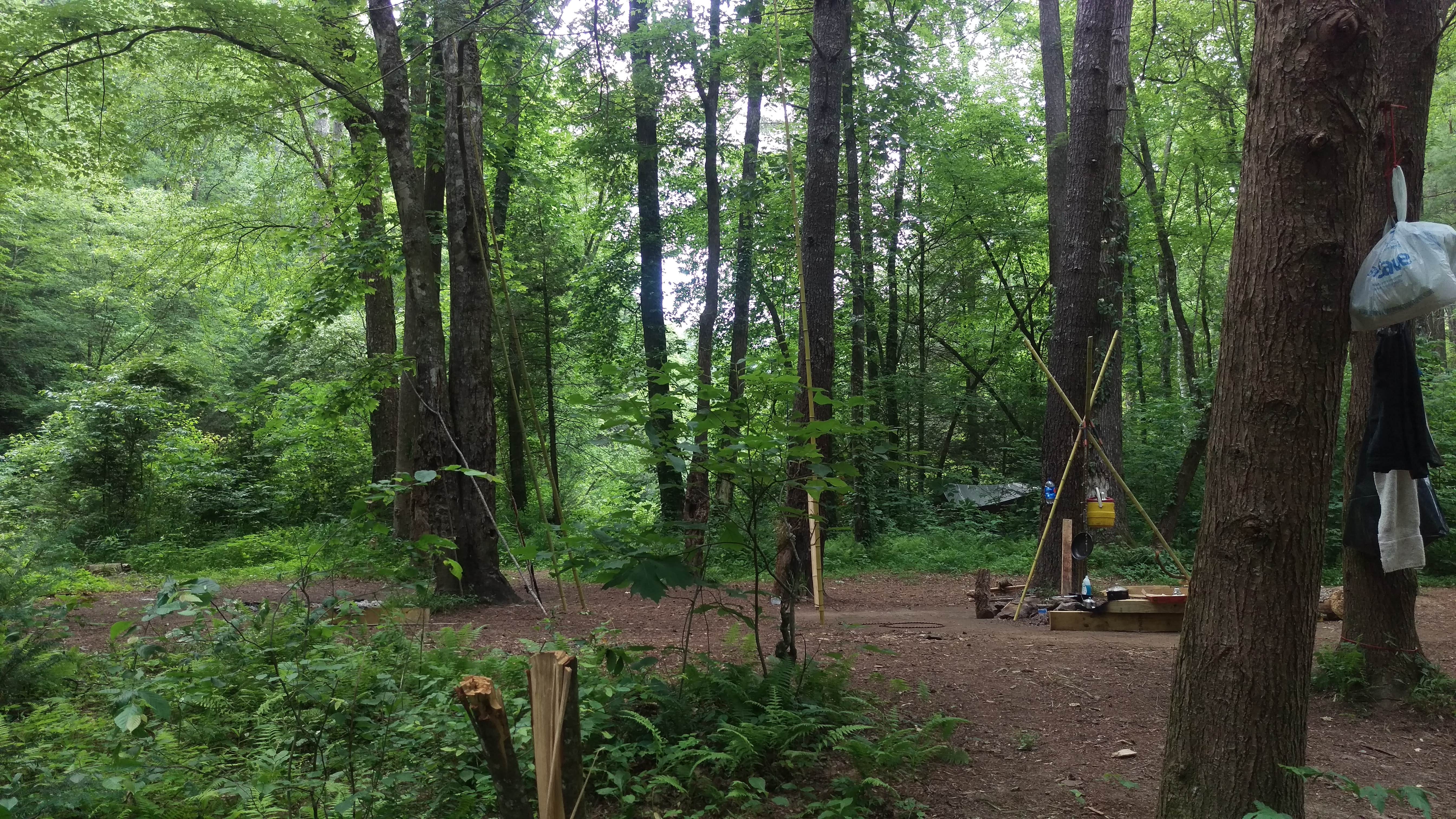 Camper submitted image from Brasstown Falls - OVERNIGHT CAMPING NO LONGER PERMITTED - 4