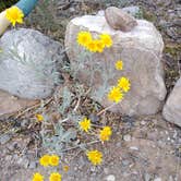 Review photo of Oliver Lee Memorial State Park — Oliver Lee State Park by DeAnna C., May 25, 2019