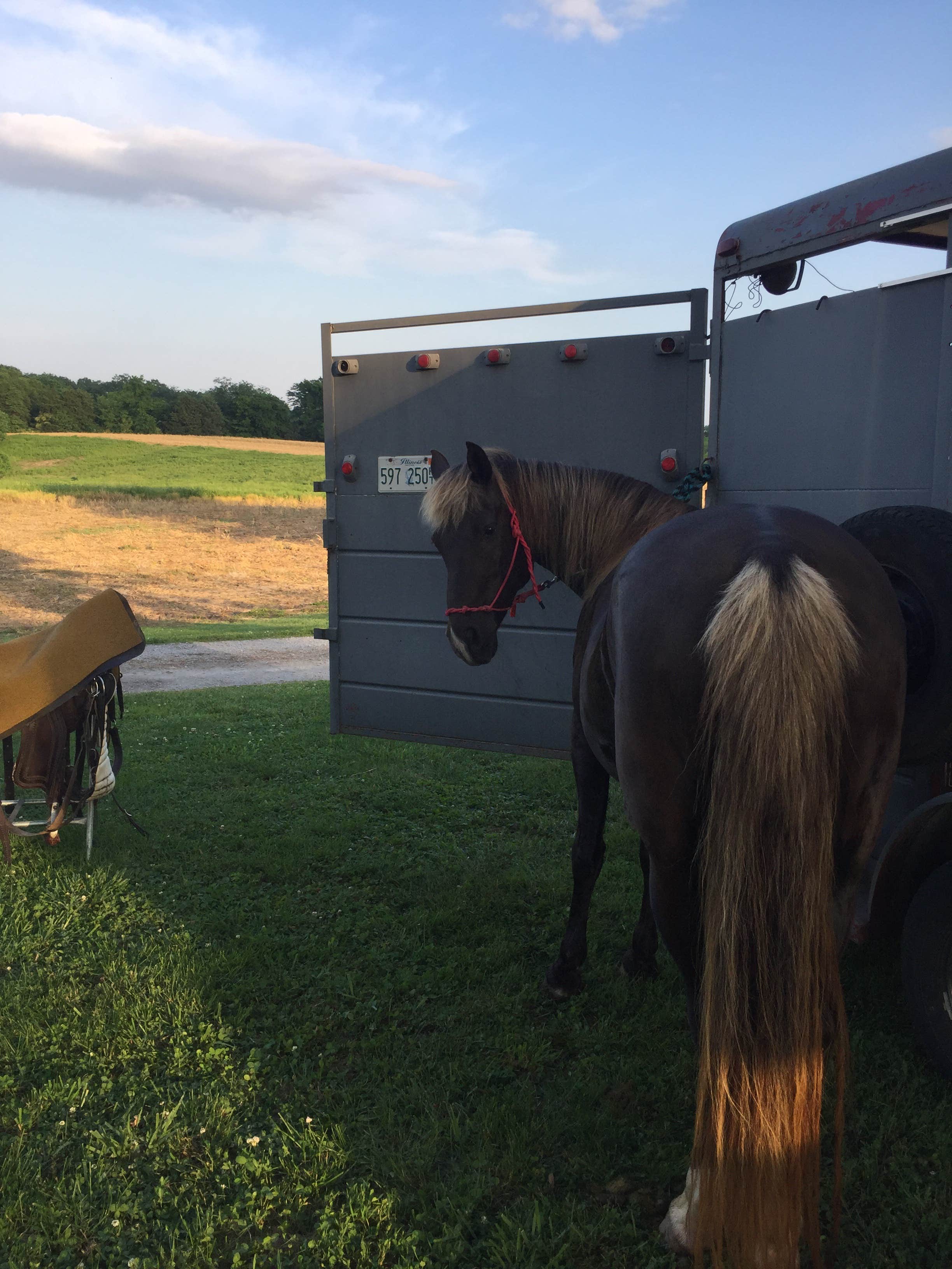 C O.&#x27;s photo of camping with a horse at Randolph County State Recreation Area near Whittington, IL
