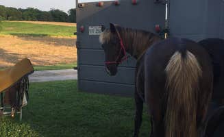 C O.'s photo of camping with a horse at Randolph County State Recreation Area near Arnold, MO