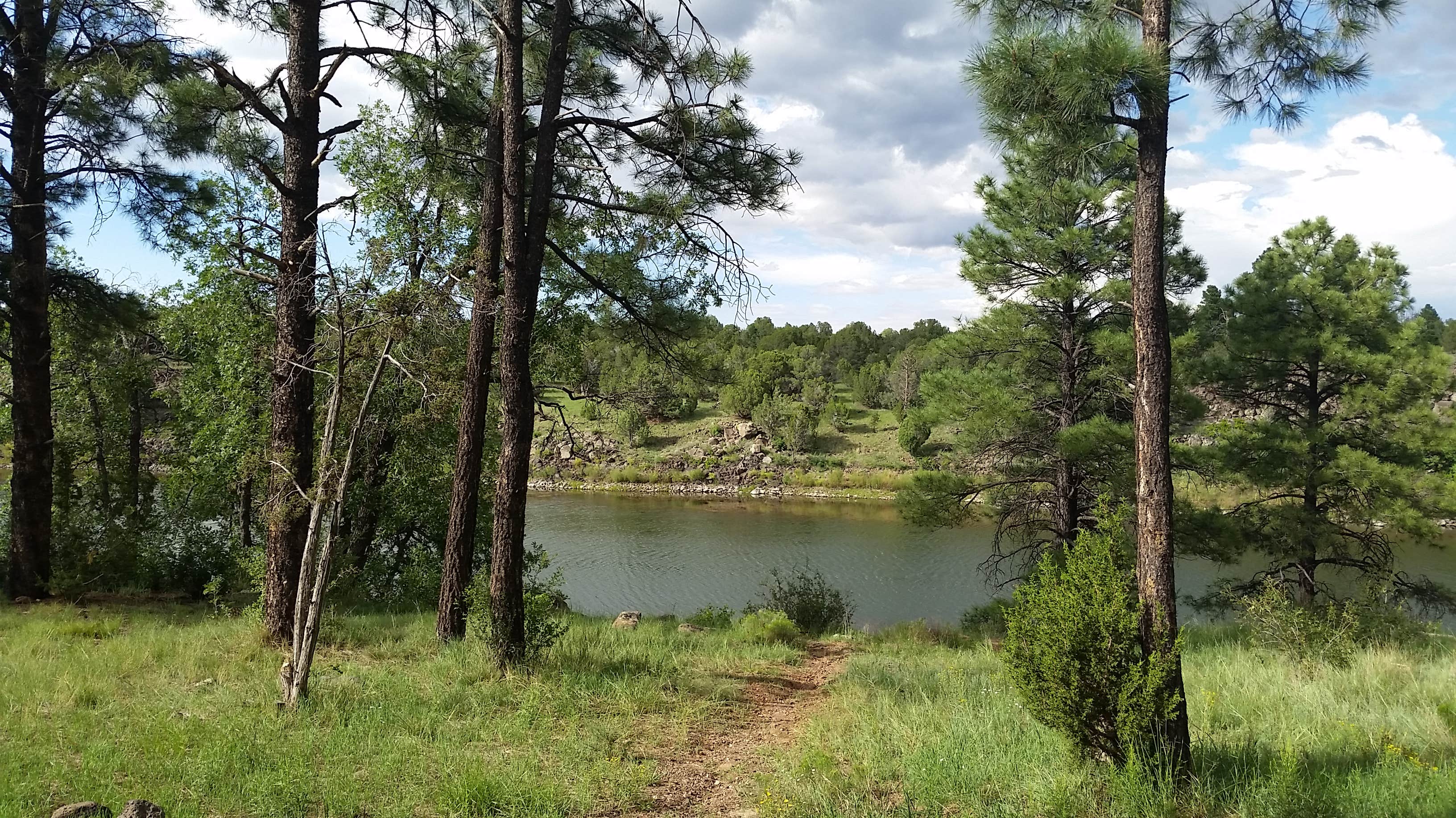 Camper submitted image from Fool Hollow Lake Recreation Area Campground - 2