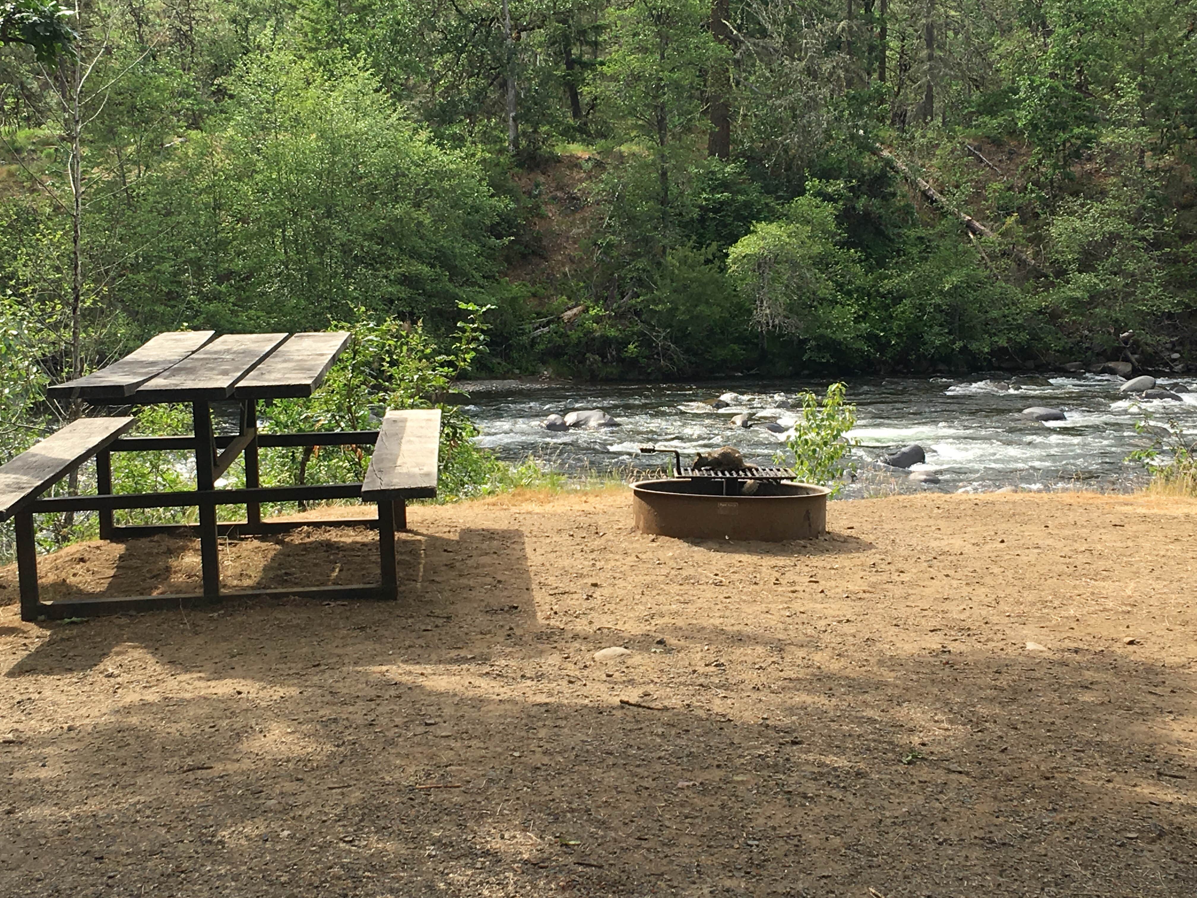 Camper submitted image from Tucker Park Campground - 2