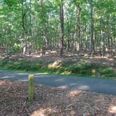 Review photo of Pilot Mountain State Park Campground — Pilot Mountain State Park by Kirsten J., May 26, 2019