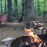 Review photo of Crawford Notch Campground by Virginia  W., May 26, 2019