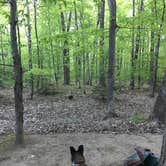 Review photo of Crawford Notch Campground by Virginia  W., May 26, 2019