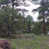 Review photo of Fool Hollow Lake Recreation Area Campground by Kathy W., August 30, 2016