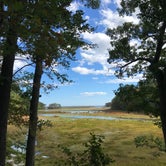 Review photo of Sandy Pines Campground by Virginia  W., May 26, 2019