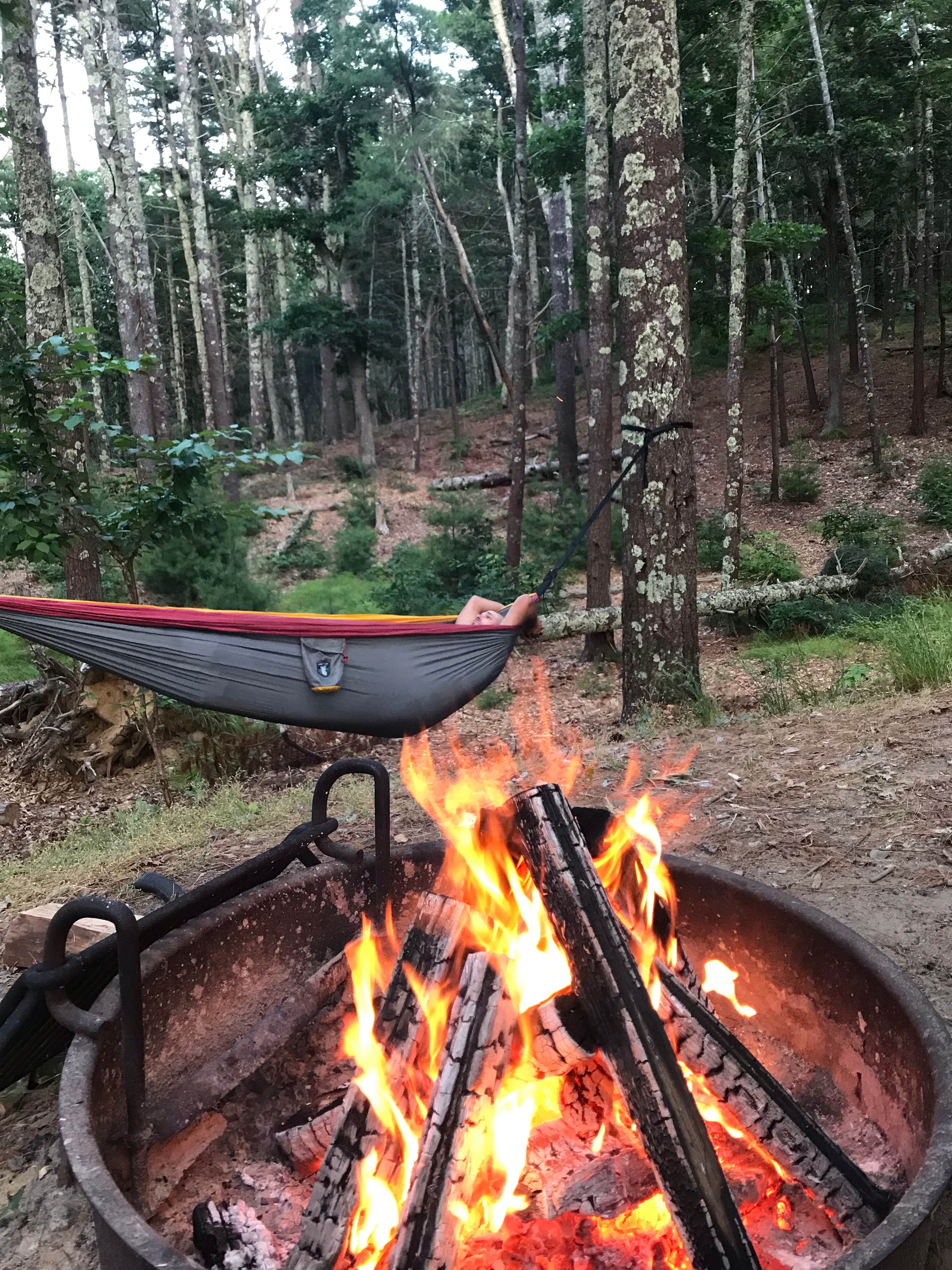 Virginia  W.'s photo at Nickerson State Park Campground near Chatham, MA