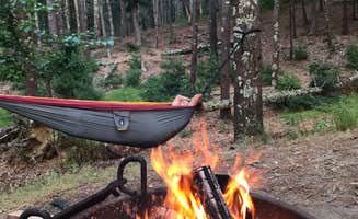 Virginia W.'s photo at Nickerson State Park Campground near Provincetown, MA