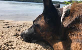 Virginia W.'s photo of camping with pets at Nickerson State Park Campground near Orleans, MA