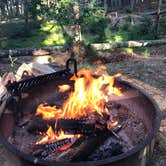 Review photo of Nickerson State Park Campground by Virginia  W., May 26, 2019