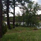 Review photo of Fool Hollow Lake Recreation Area Campground by Kathy W., August 30, 2016