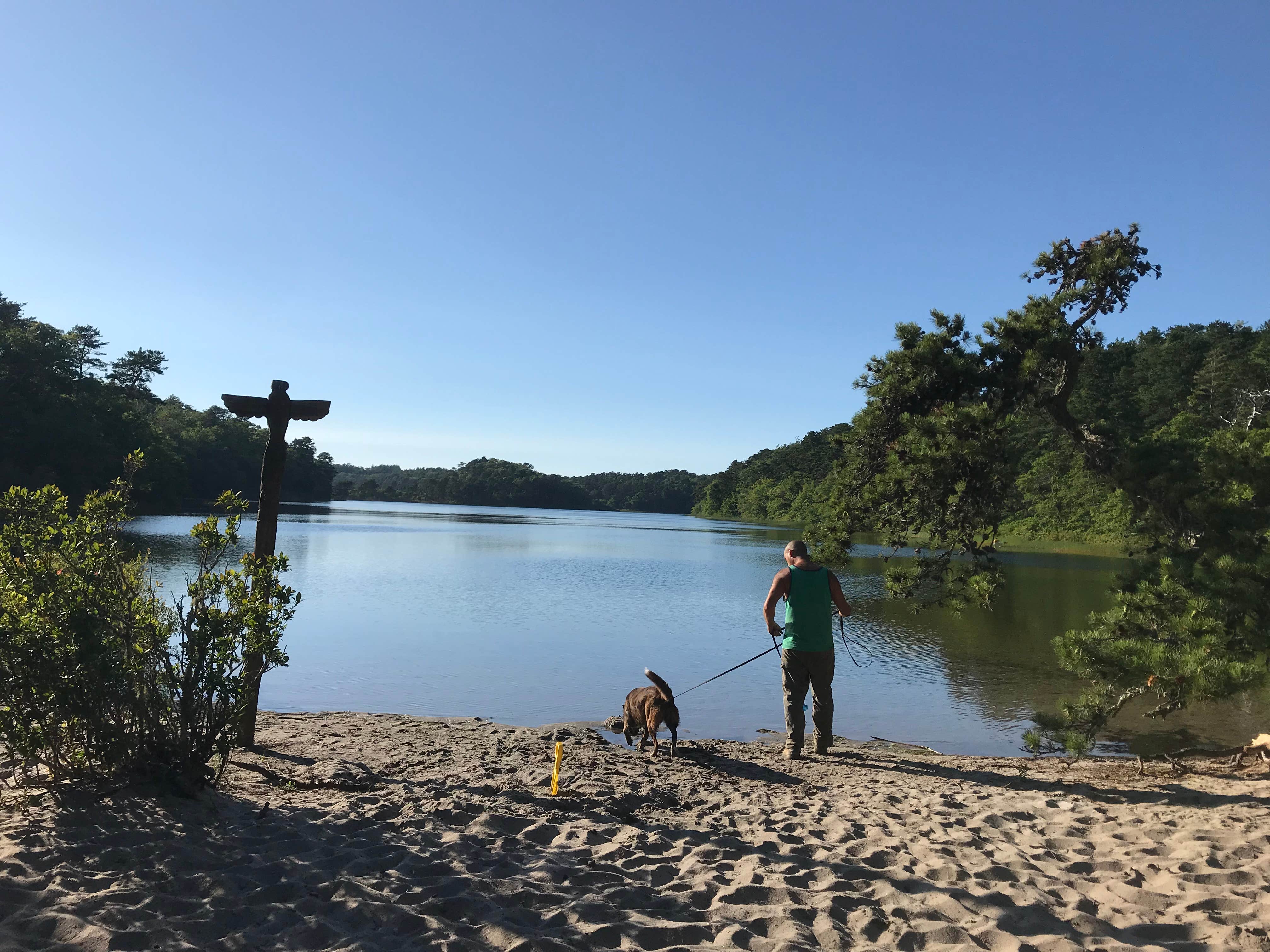 Virginia  W.'s photo of camping with pets at Nickerson State Park Campground near Provincetown, MA