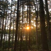 Review photo of Nickerson State Park Campground by Virginia  W., May 26, 2019