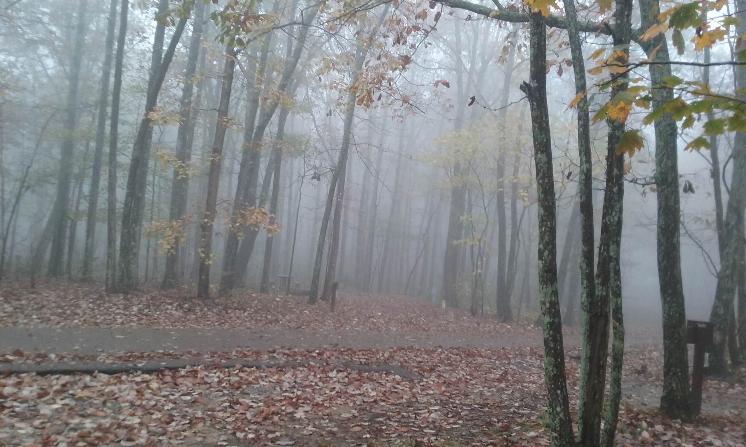 Camper submitted image from Monte Sano State Park Campground - 3